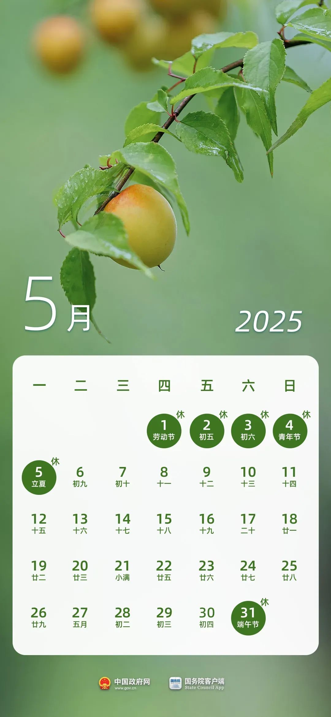 正文图片