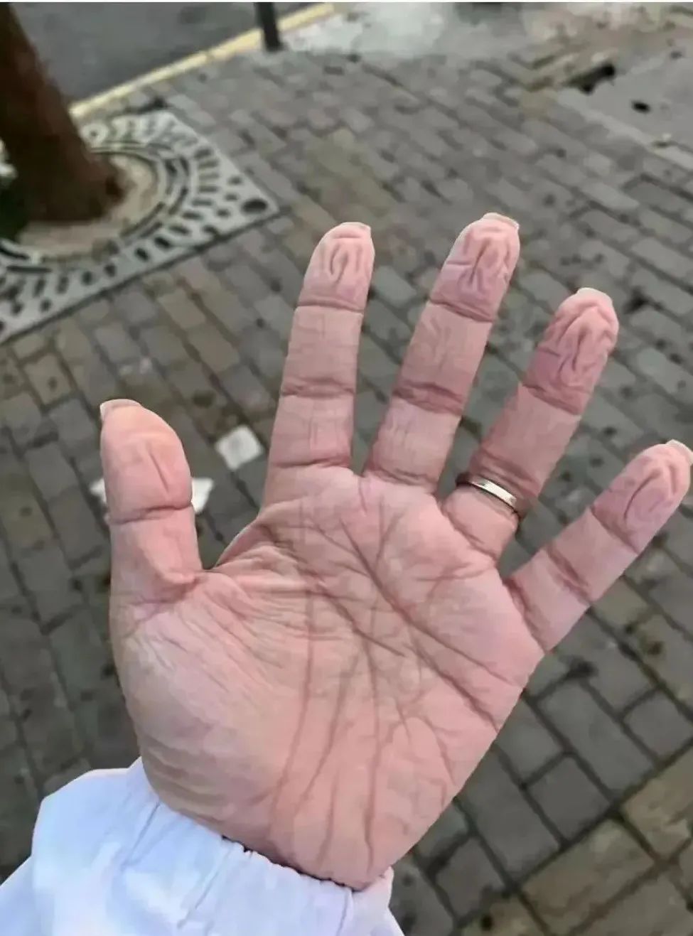 正文图片 正文图片