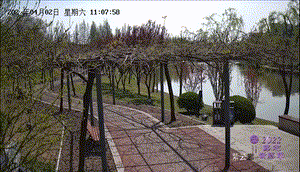 正文图片