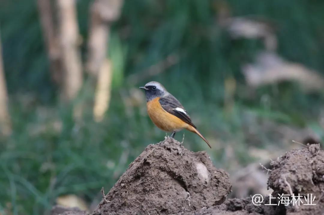 微信图片_20211213145556.jpg 微信图片_20211213145556.jpg