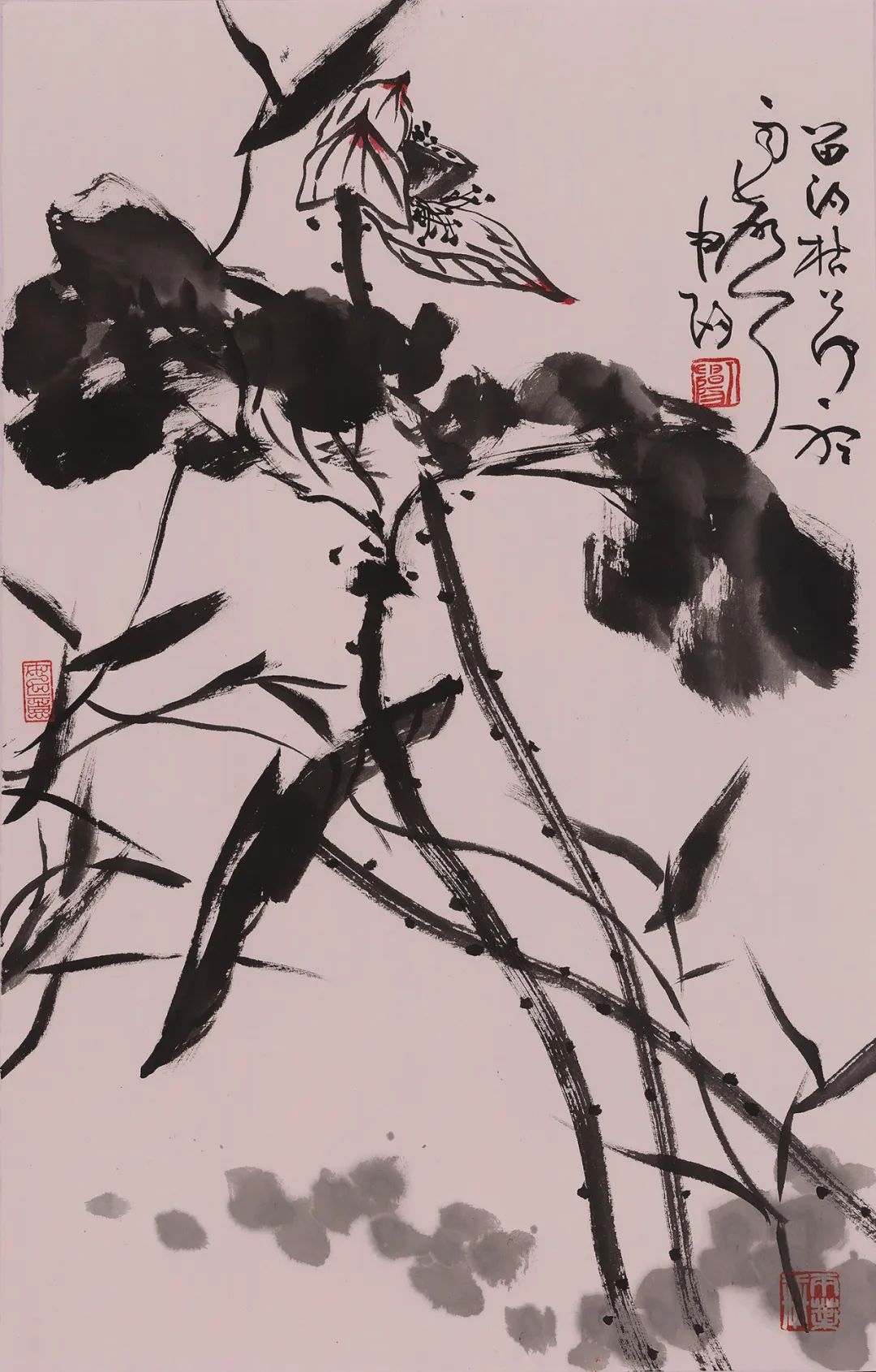 正文图片