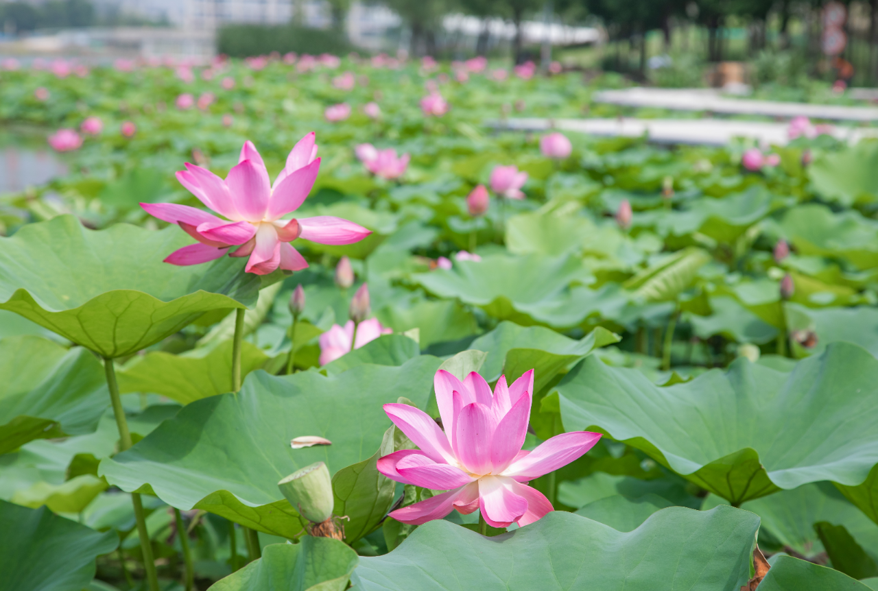 9514e0712f4feac9741ed7cac072def9.jpg 9514e0712f4feac9741ed7cac072def9.jpg