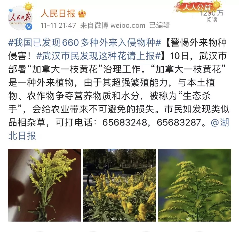 7E395C7A-1B73-4FEC-B218-35C0E39D95C9.jpeg