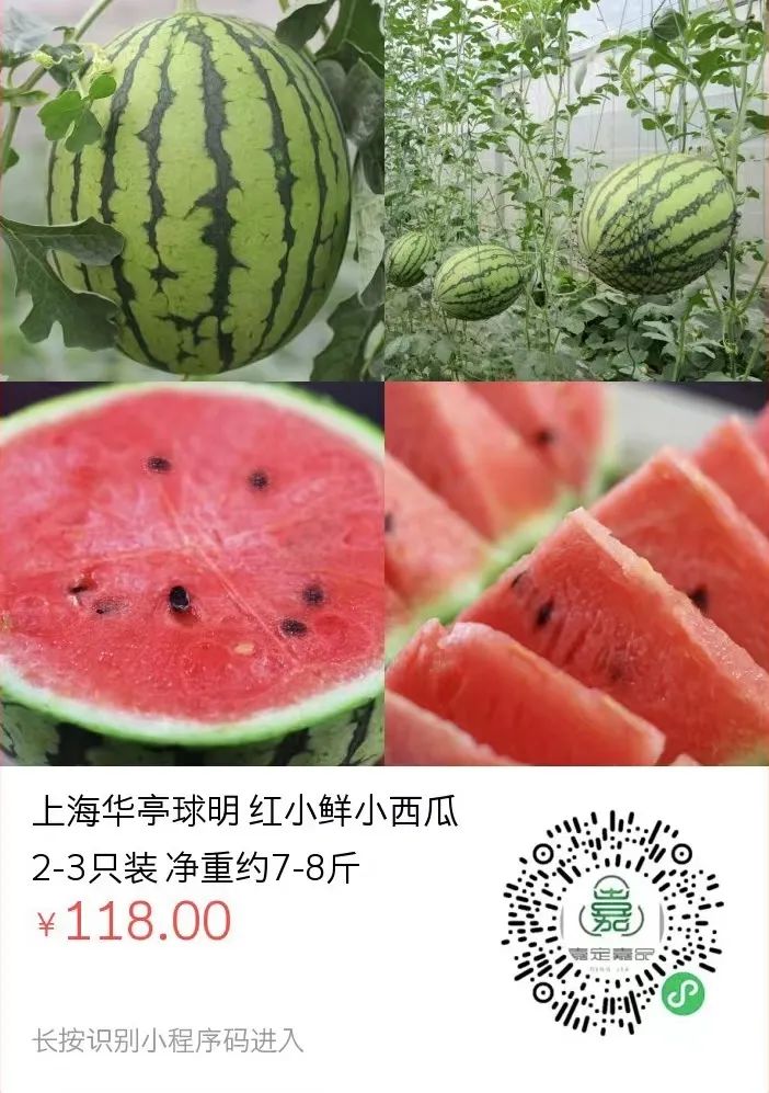 正文图片