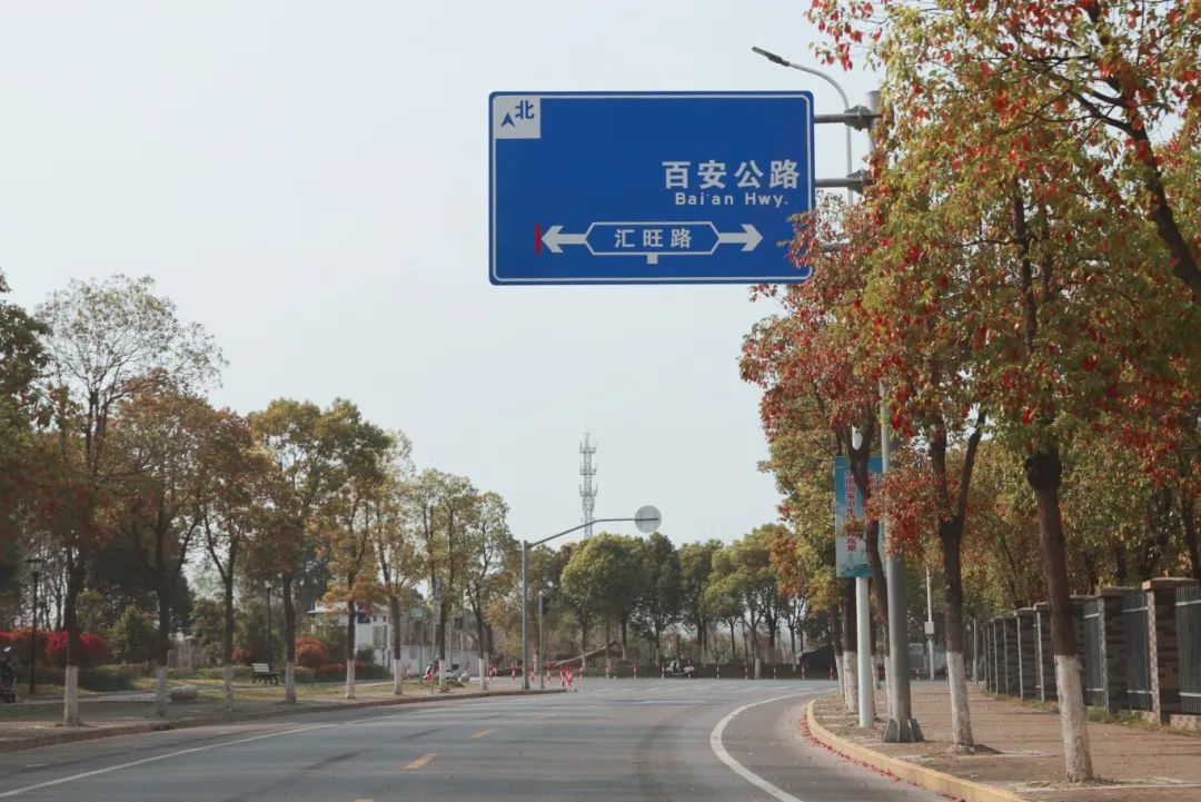 正文图片