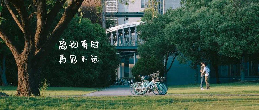 正文图片
