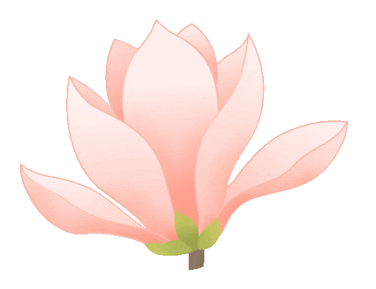 正文图片