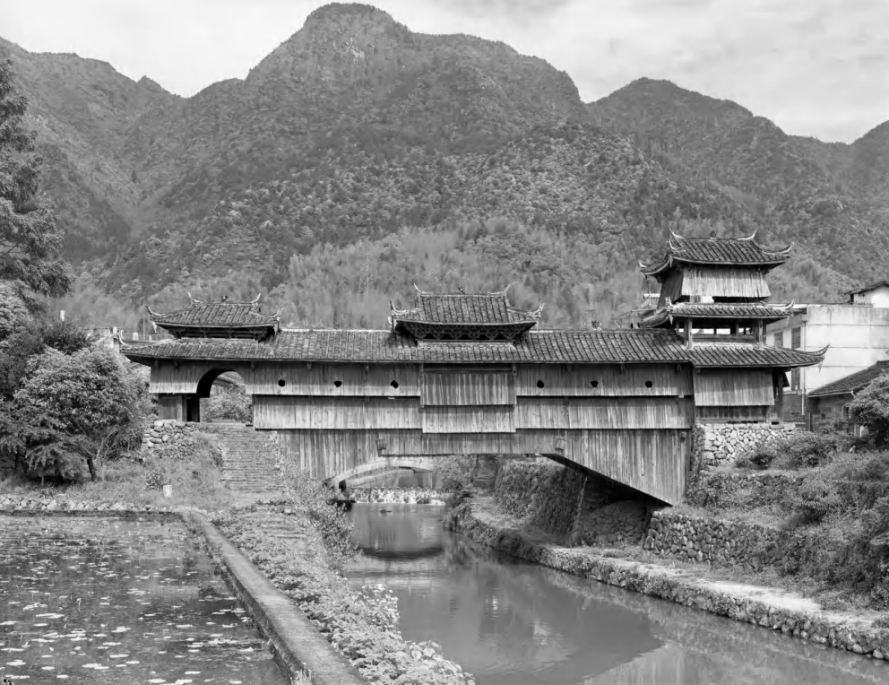 正文图片
