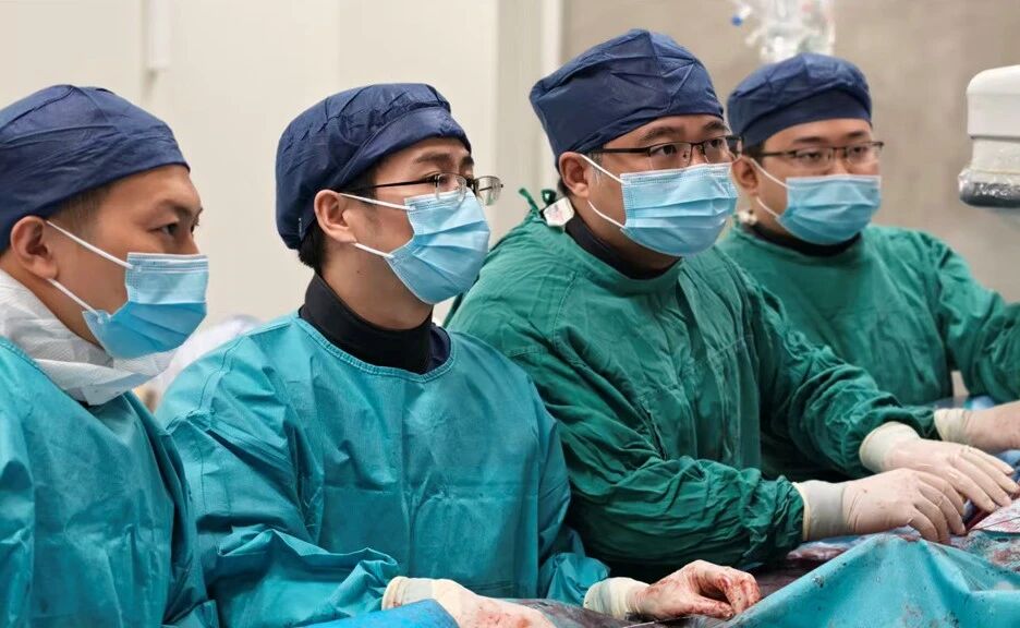 正文图片 正文图片