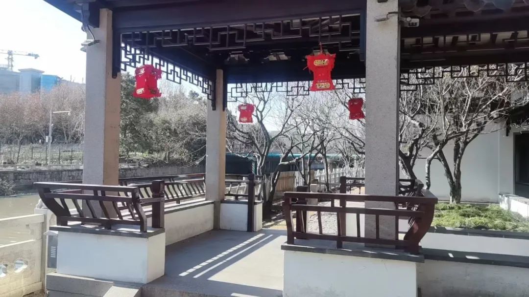 正文图片