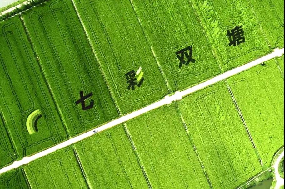 微信图片_20210316125503.jpg