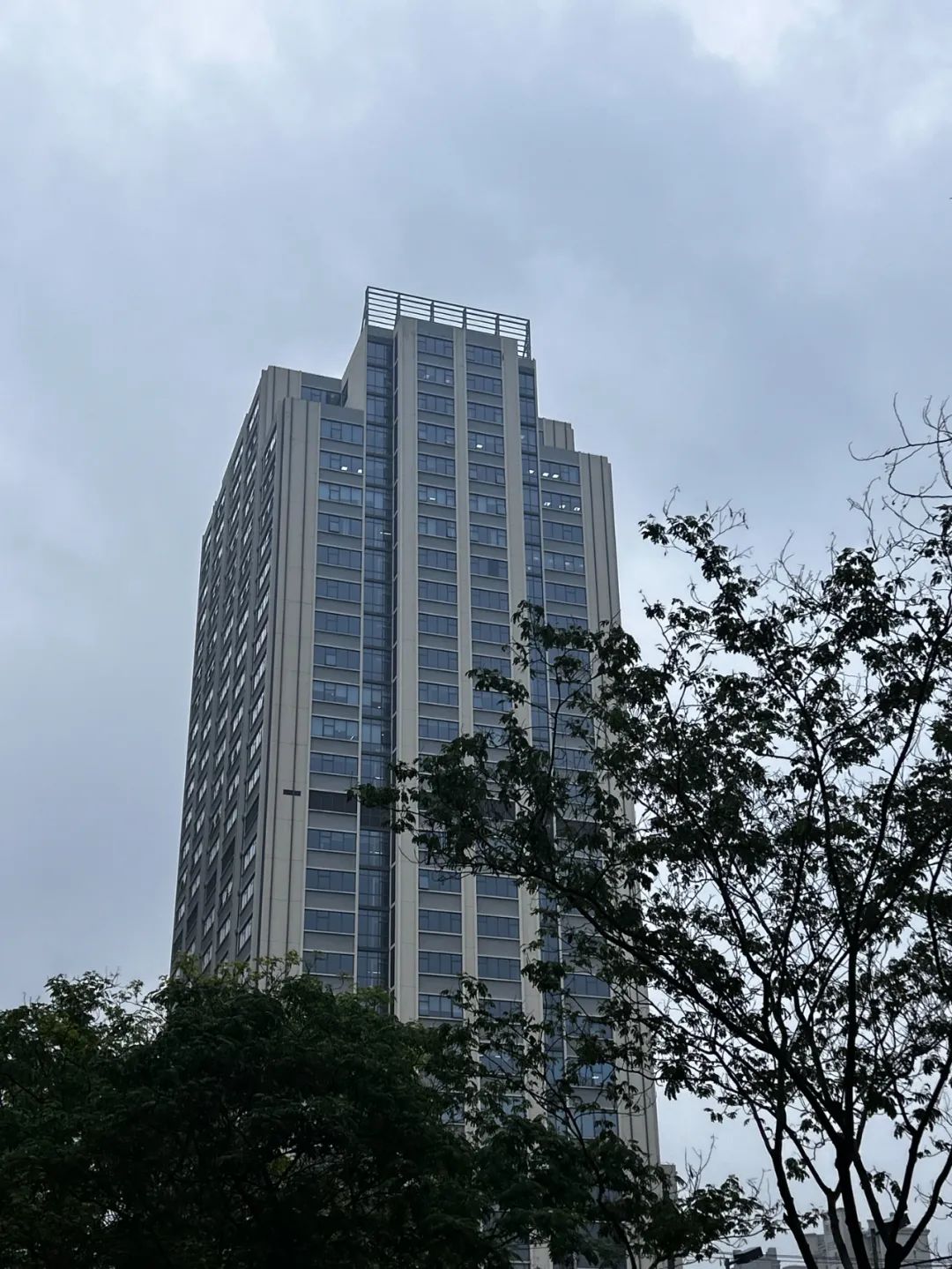 正文图片