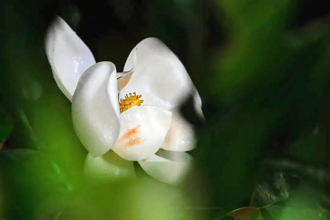 微信图片_20200617174826.jpg