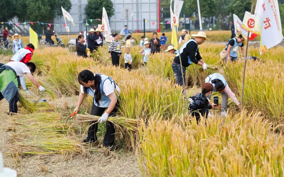 正文图片 正文图片