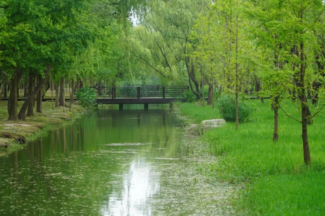 DSC03680_副本.jpg