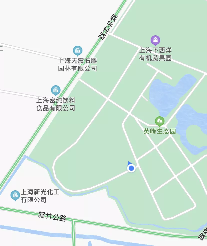 640 (6).webp