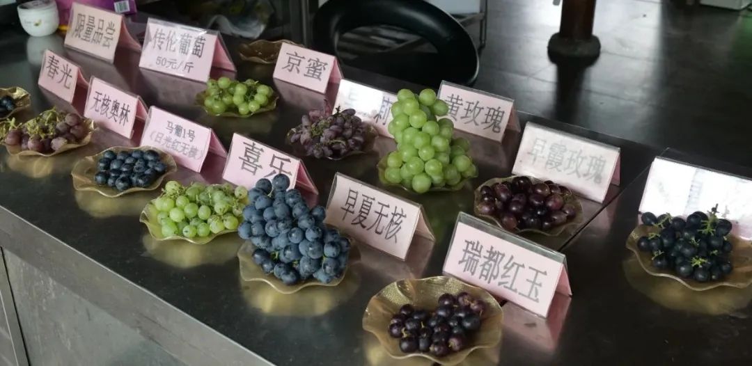 正文图片