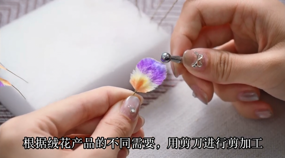 正文图片