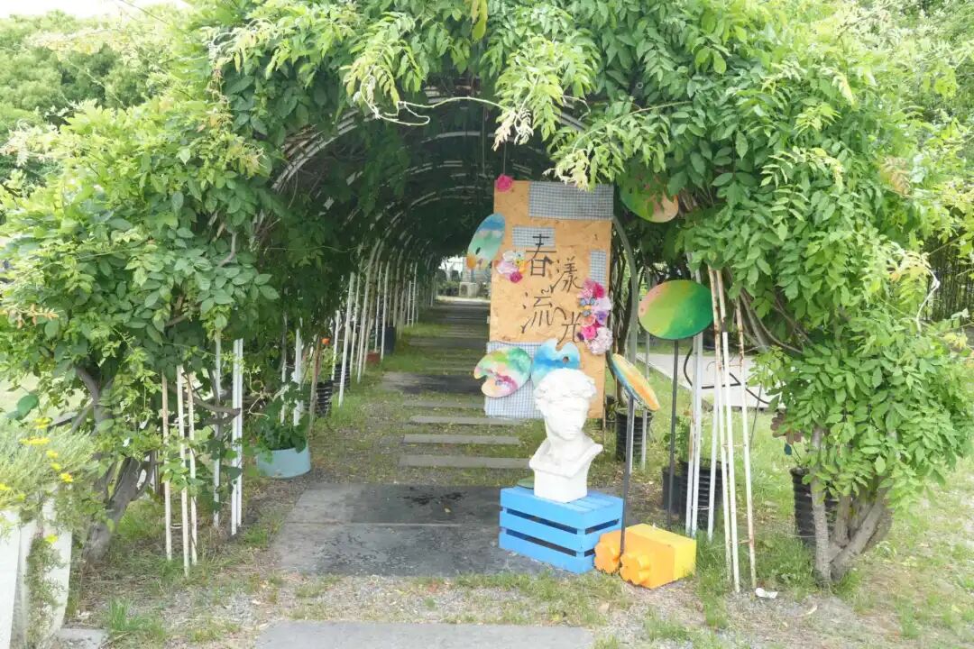 正文图片