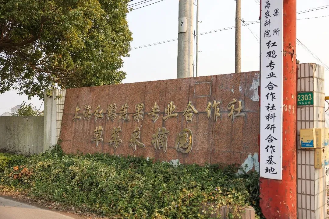 正文图片