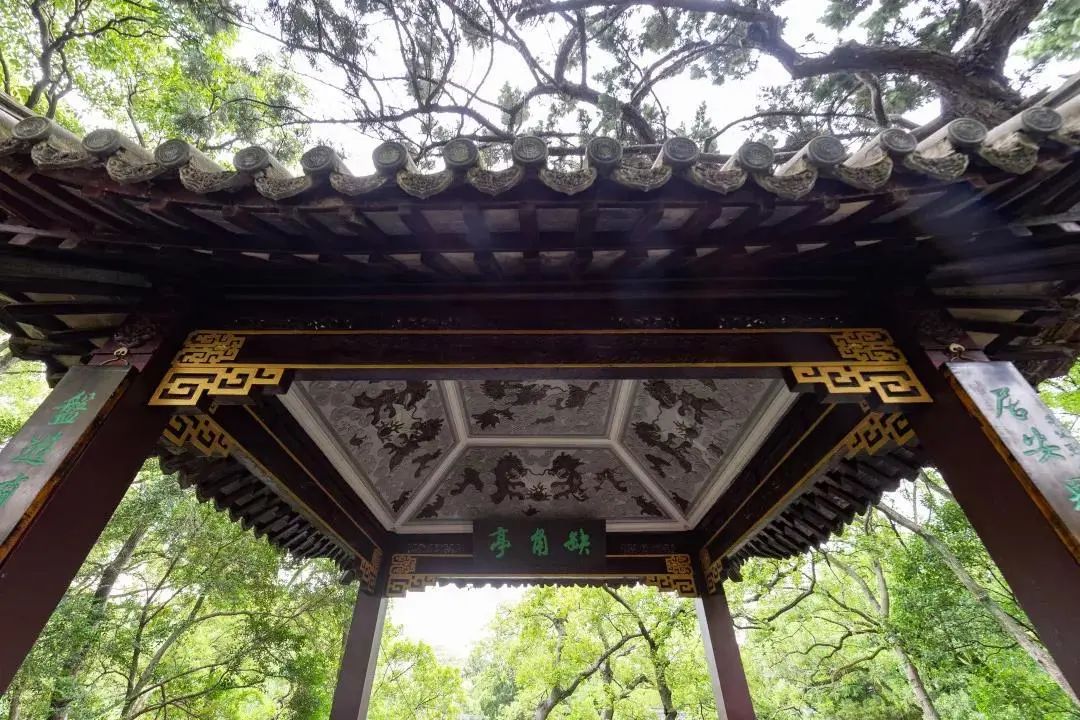 正文图片