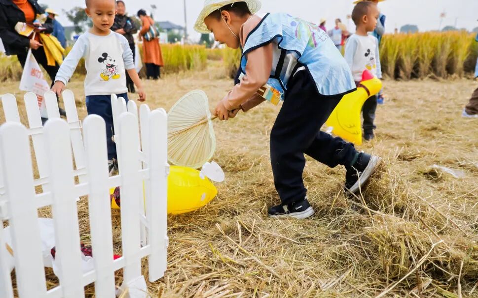 正文图片 正文图片