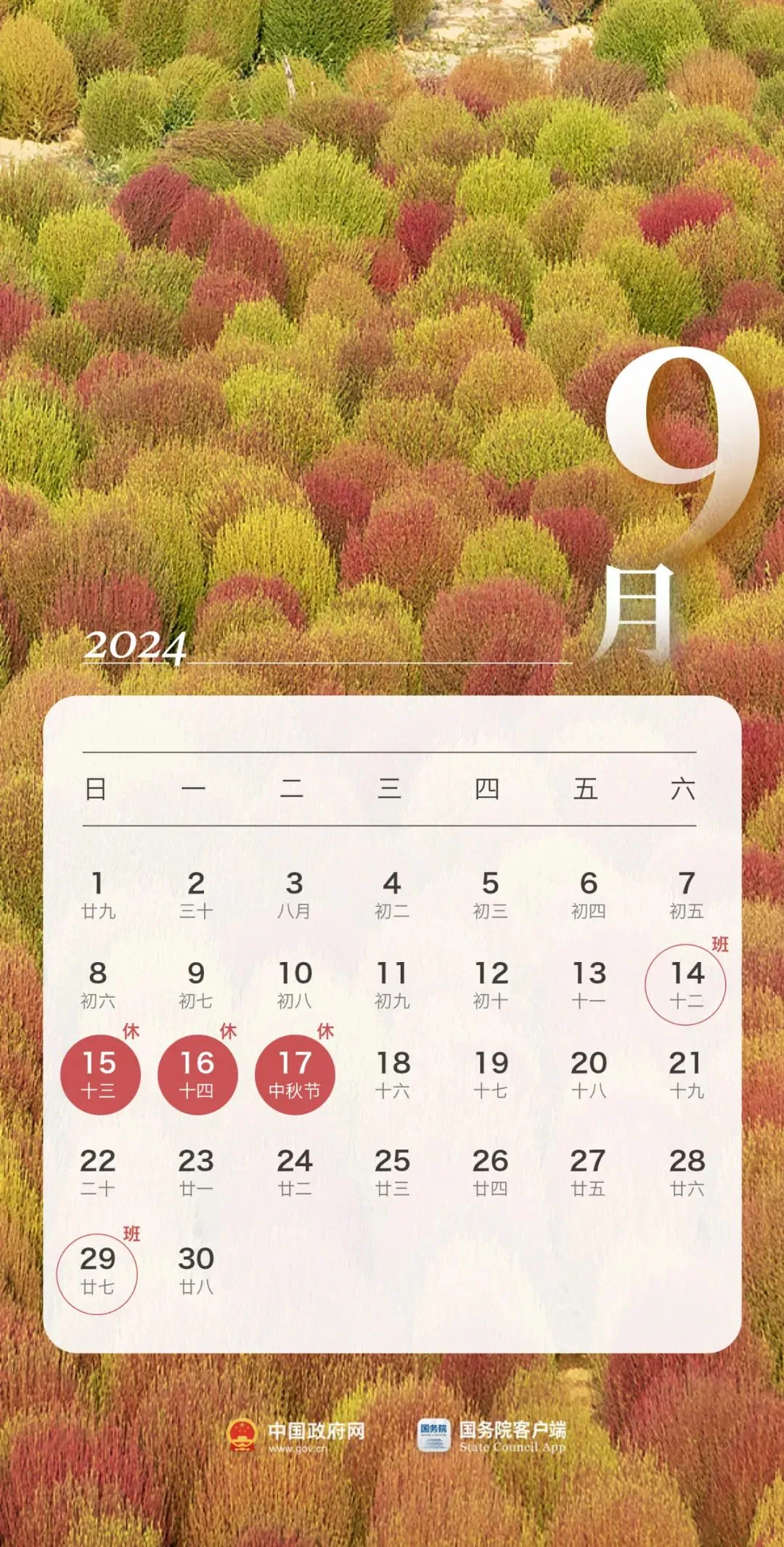 正文图片