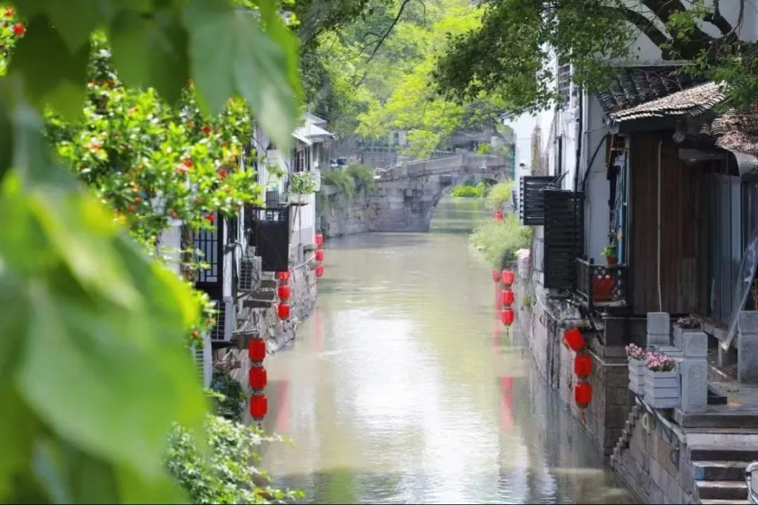 正文图片