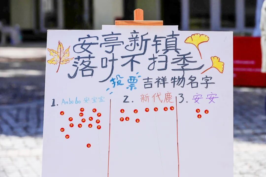 今年，他们还是“落叶不扫”