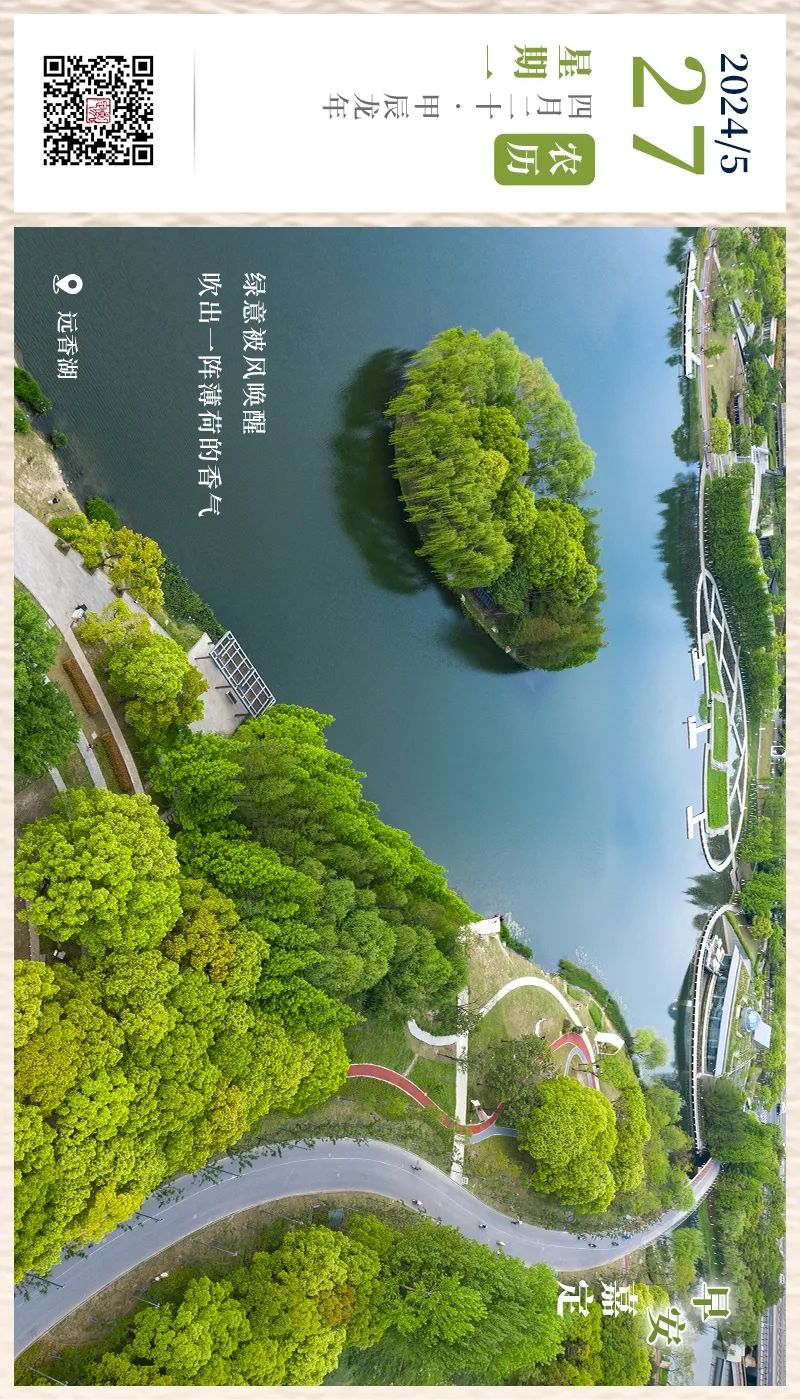 正文图片