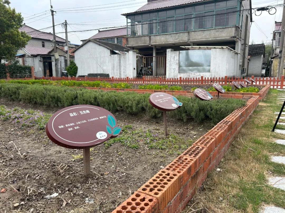 正文图片