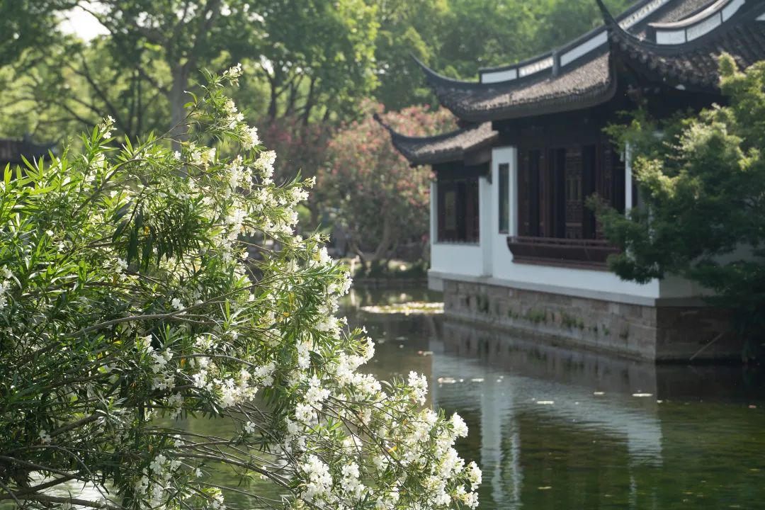 正文图片