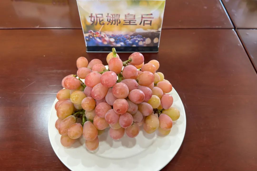 正文图片