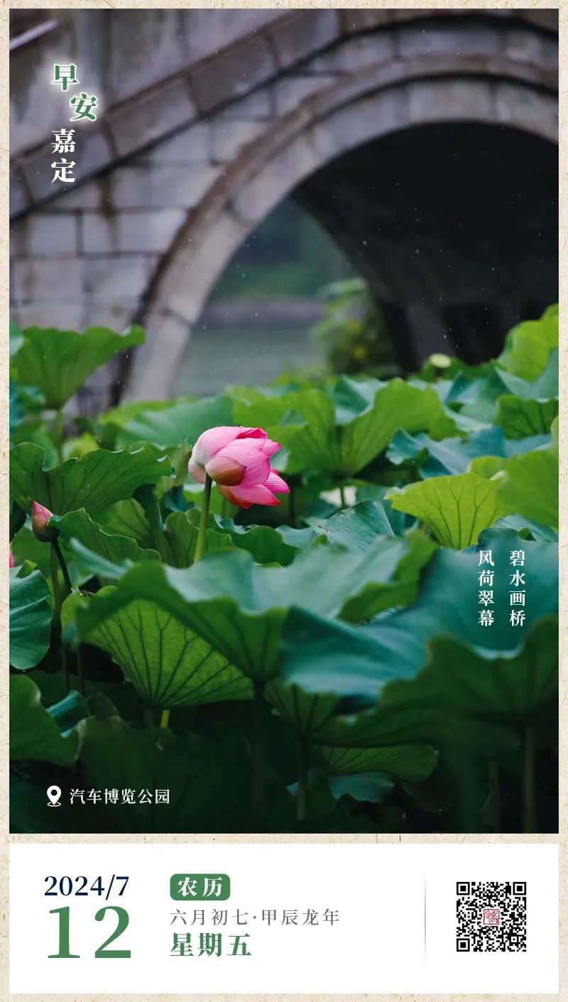 正文图片