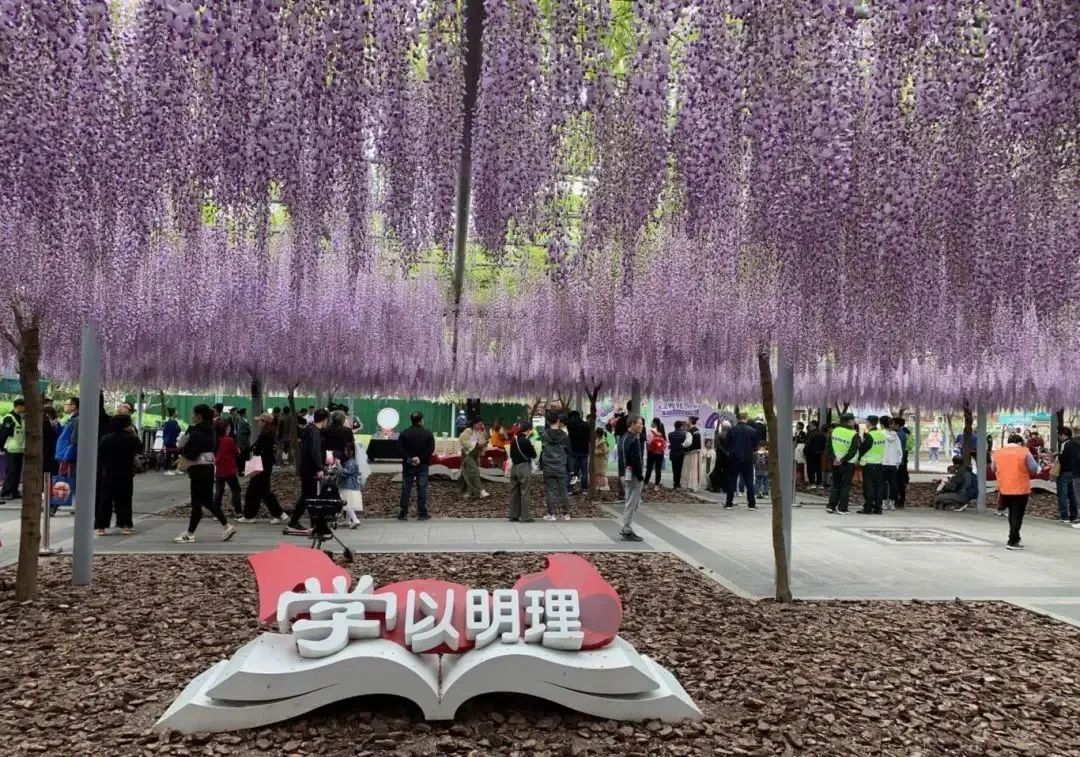 正文图片