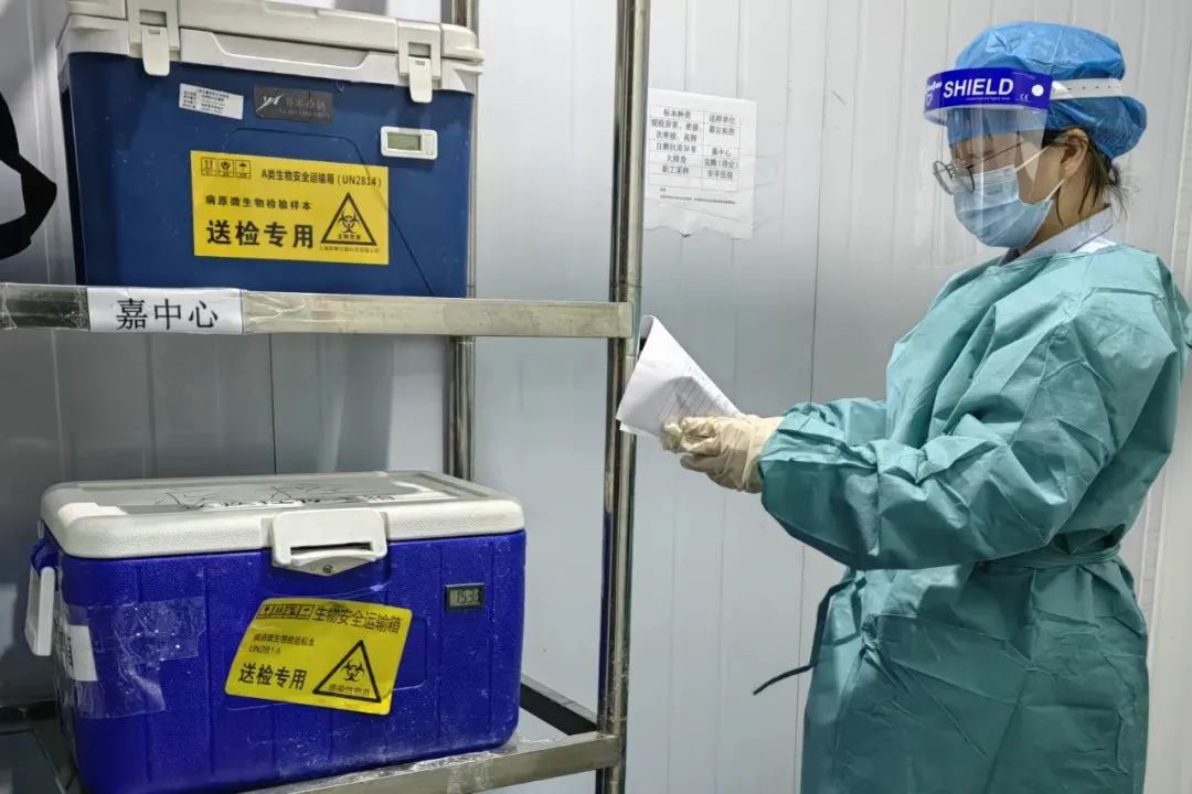 正文图片