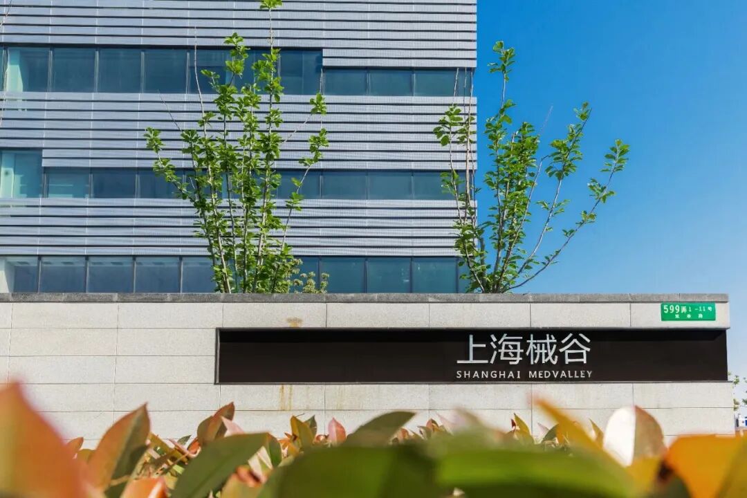 正文图片