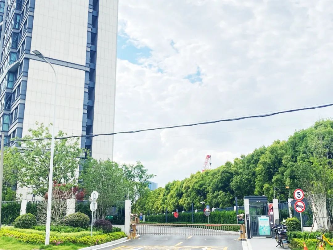正文图片