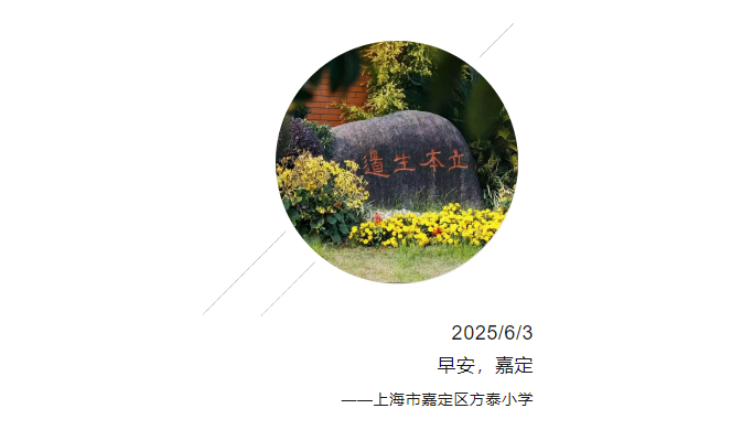 正文图片