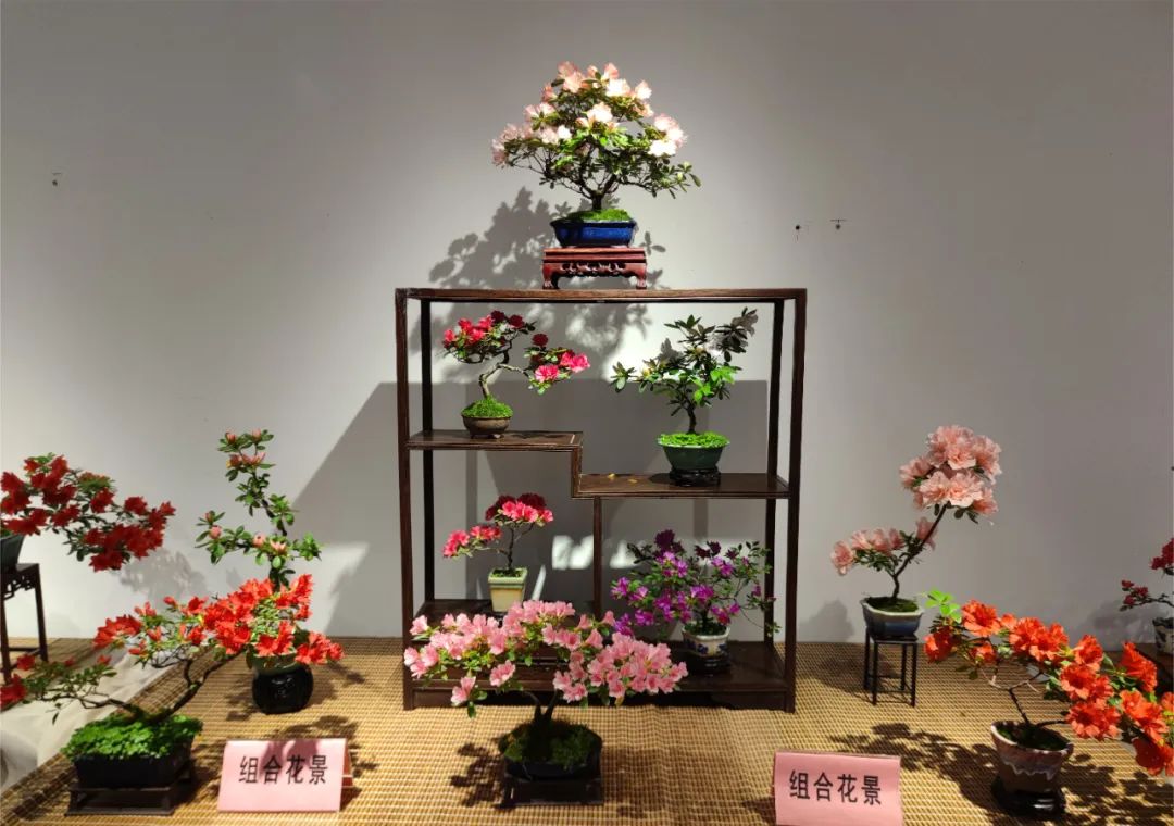 正文图片