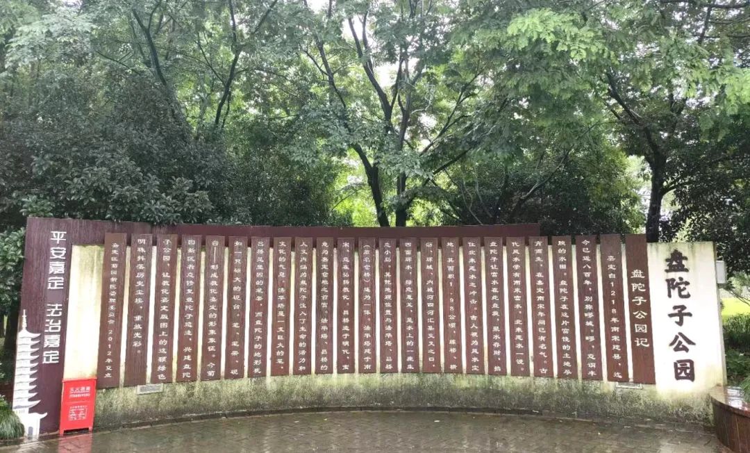 正文图片