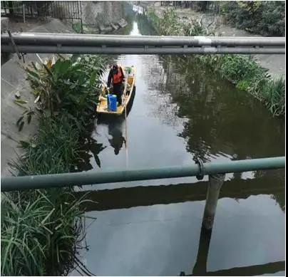 河道1.jpg