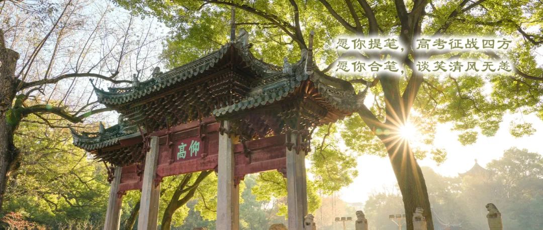 正文图片