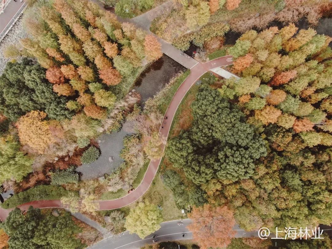 微信图片_20211213145527.jpg 微信图片_20211213145527.jpg