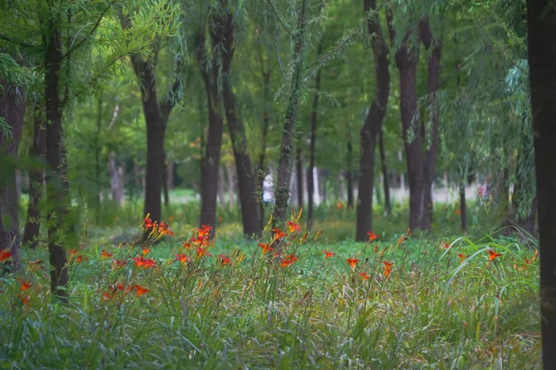 DSC03607_副本.jpg
