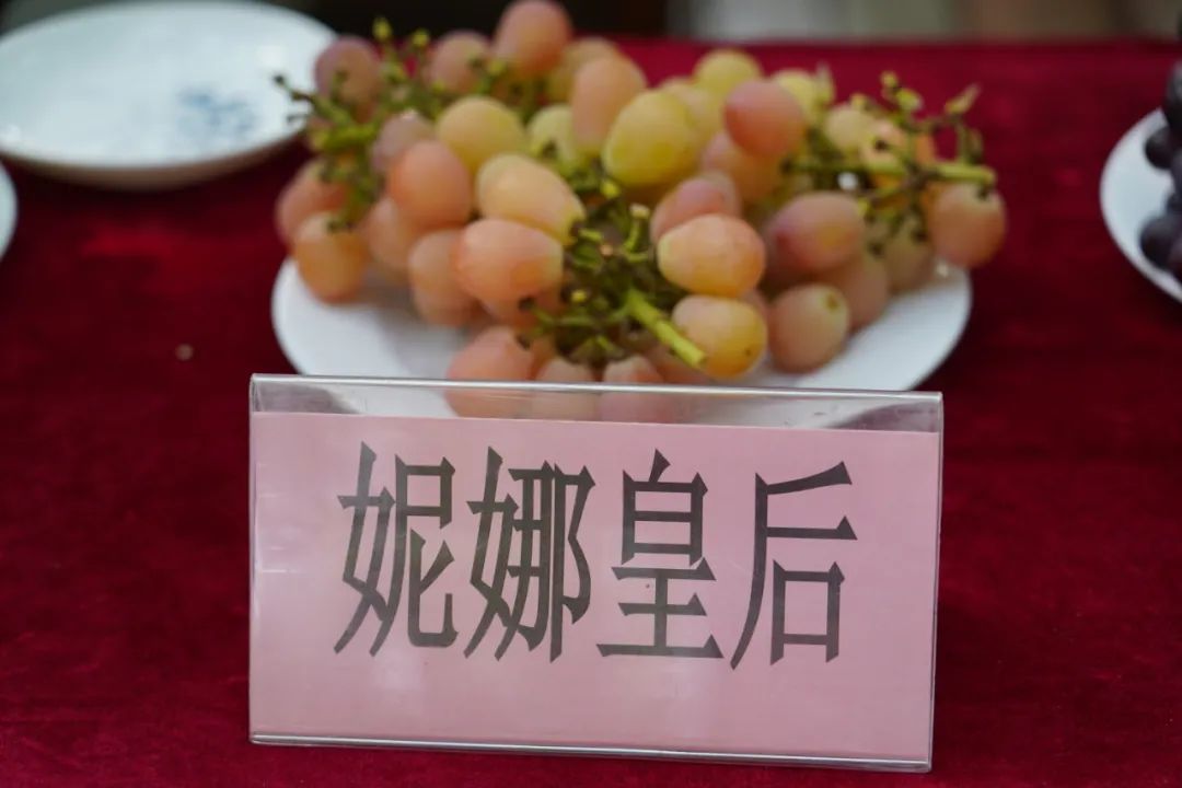 正文图片