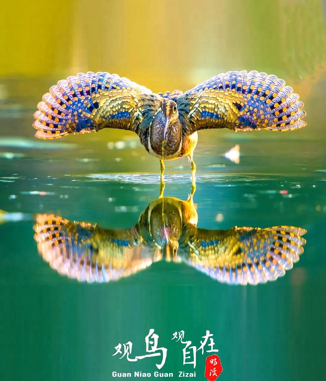正文图片