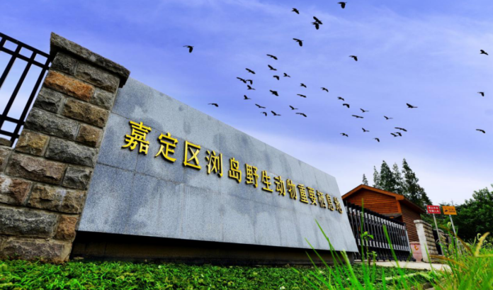 正文图片