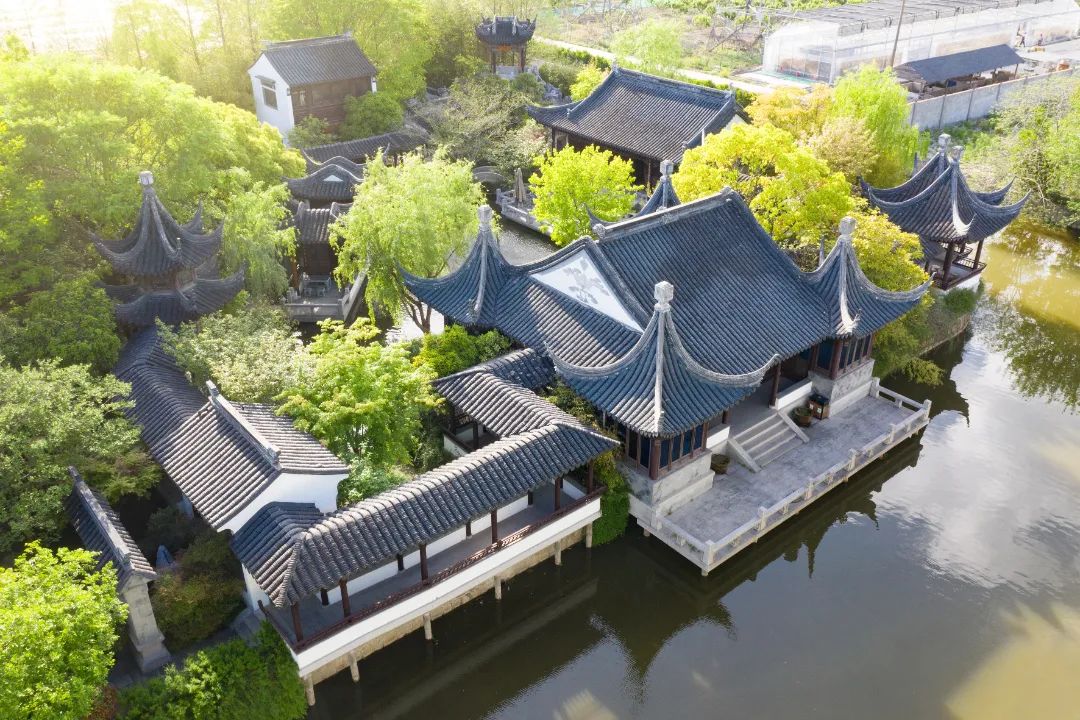 正文图片
