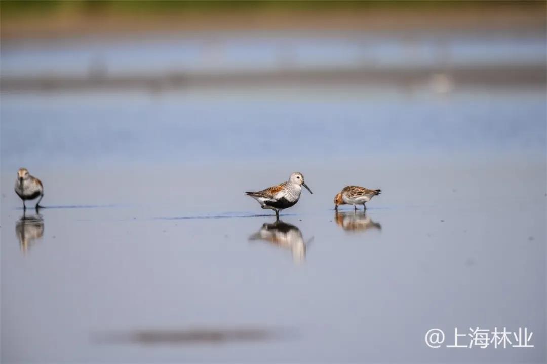 微信图片_20211213145603.jpg 微信图片_20211213145603.jpg